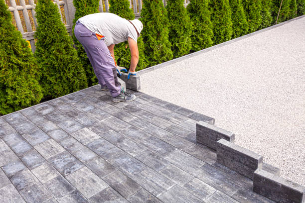Best Driveway Repair Near Me  in Surrey, ND