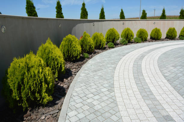 Best Local Driveway Pavers  in Surrey, ND
