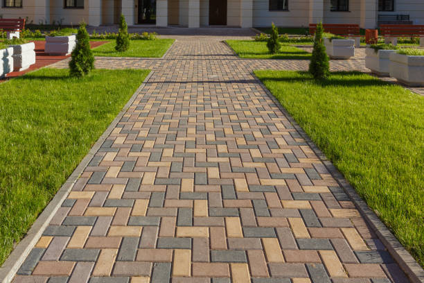 Best Professional Driveway Pavers  in Surrey, ND